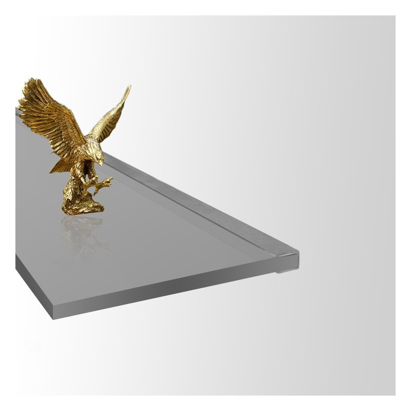 Floating Glass shelf 12mm