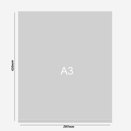 Suspended Ceiling Poster Holder Kit | Picture Hanging Direct