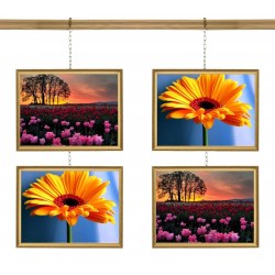Moulding Picture Hanging Chain